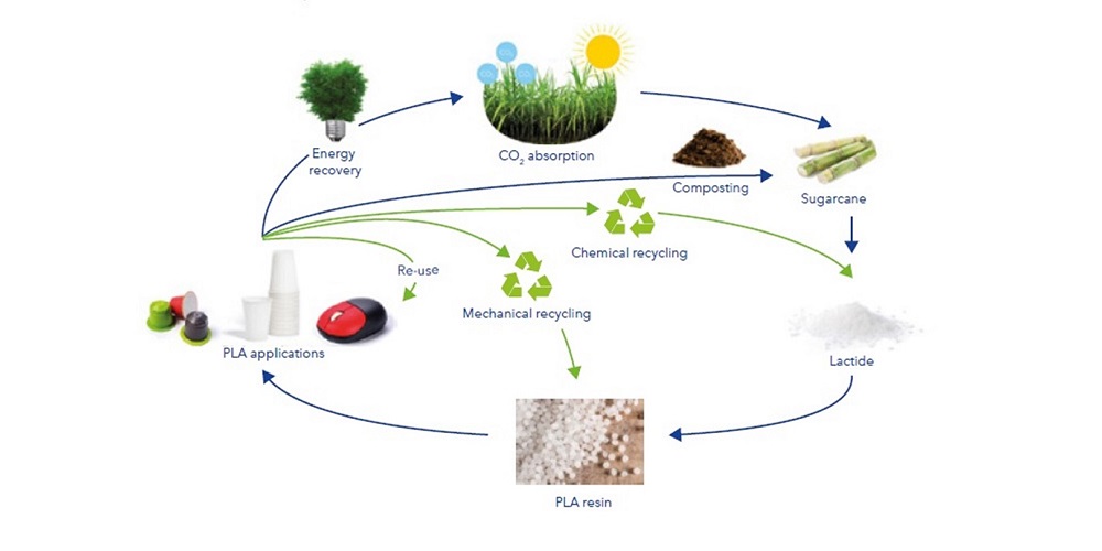 End of life options for bioplastics